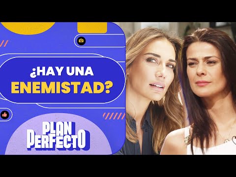 ¿POR UN HOMBRE? La supuesta rivalidad entre Tonka Tomicic y Carolina de Moras - Plan Perfecto