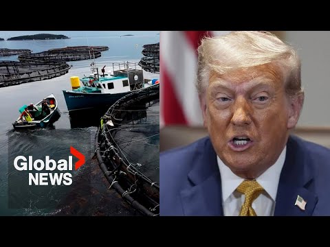 YouTube video thumbnail: Trump Targets New Brunswick Seafood Company With Social Media Video
