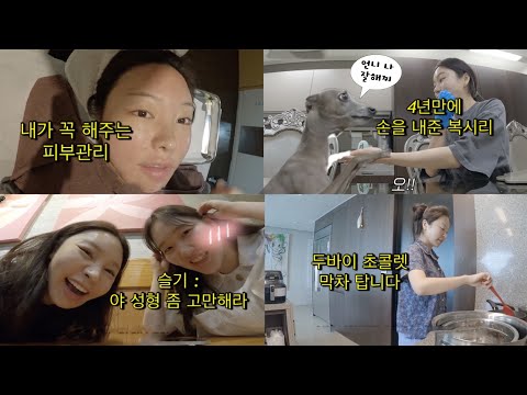 몇달만에 부산살이(feat.복시리🐶) | 무조건 하는 피부관리..그것은 압.출 | 이제는 갑상선저하증이라니 | 식단관리 하세요? | 두바이초콜릿 막차