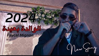 Faycal Mignon - El Walida B3ida (Live 2024) / فيصل مينيون - الوالدة بعيدة