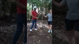barriendo la casa