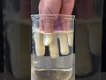 Properties of Hydrophobic Spores