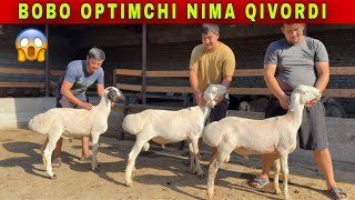 BOBO OPTIMCHI REKORD QOYDI NARXLAR SINDI 😱