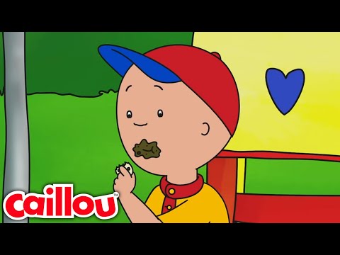 Lío de aceitunas | Caillou Español - WildBrain | Caricaturas para niños