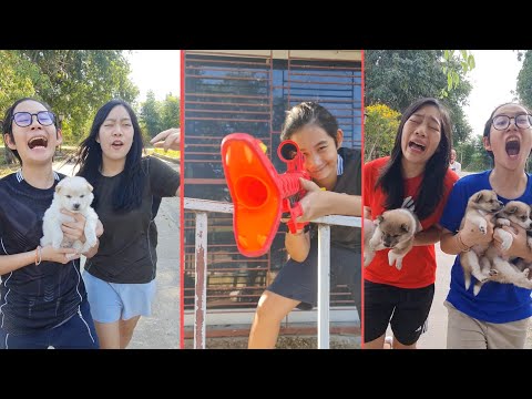 Too Cute Too Cute‼️ Most Fun😆🥰  | JJaiPan Shorts Compilation #shorts