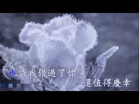 謝謝你,曾用心騙過我 – 任夏  Karaoke 雙聲道  (左音樂, 右人聲) 下載後可作卡拉OK使用.