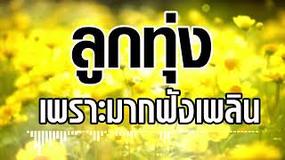 เพลงลูกทุ่งเพราะมากฟังเพลิน #เพลงเพราะ