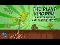 Understanding Plants