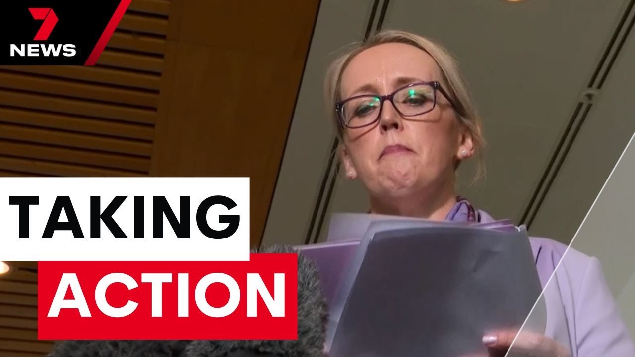 A senior adviser to the Albanese government is suing | 7NEWS