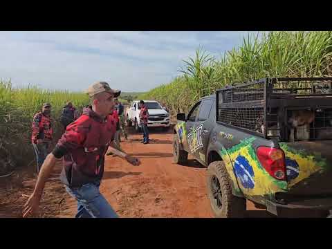 Falhou Tudo - Parte 01