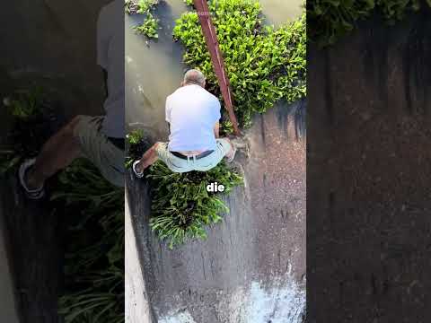 Dieser Opa rettet den Staudamm ganz allein 💪 #Held #Staudamm