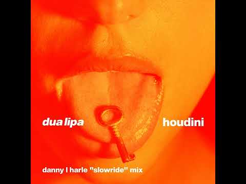 Dua Lipa - Houdini (Danny L Harle Slowride Mix) [Instrumental]