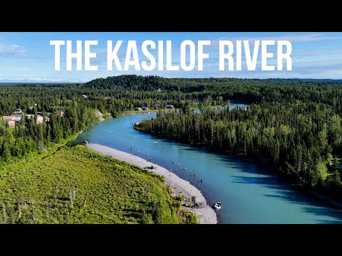 ALASKA Salmon Fishing an ULTRA CLEAR River!