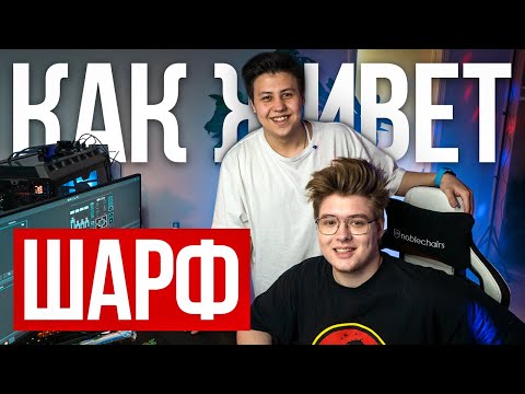КАК ЖИВЕТ ШАРФ - про аварию, компьютер за 2.000.000, отношения