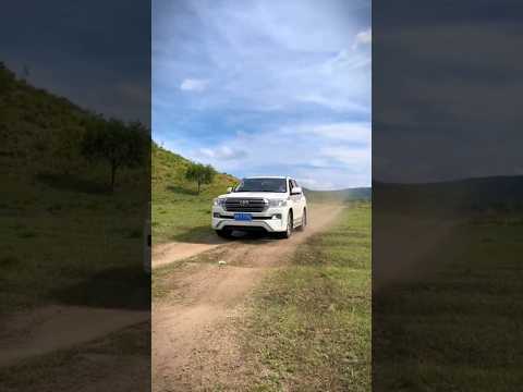 #تجربة اختبار نظام التعليق #تويوتا #لاندكروزر ضد #تويوتا برادو