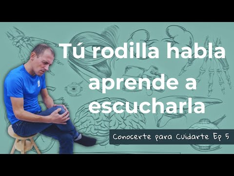 ¿Sabes realmente cómo funciona tu rodilla?