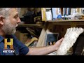 Bigfoot Encounter Insights
