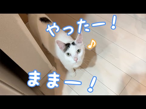 寝る時間もたくさん喋るチロさん！