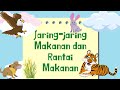 Food Chain and Ecosystem Dynamics