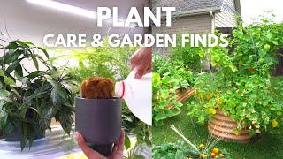 Watering my indoor jungle +  Garden Finds- Plant Care Vlog