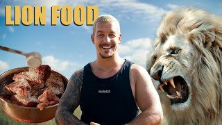 Why Our Lions Are So Strong – It’s in the Food!