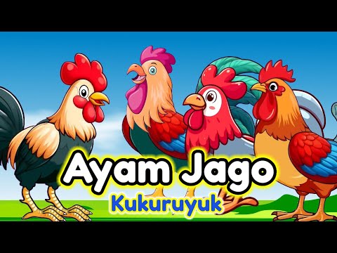 Lagu Anak 🇮🇩 Kuku Kukuruyuk - Lagu Ayam Jago - Ayam Berkokok  - Lagu Anak Indonesia Viral