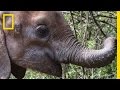 Analyzing Video Section Content