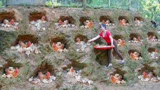 Many Hen Hatched Lots Of Chicks - Buy A Lot Of Lemons From Farmers Go To Sell At The Market