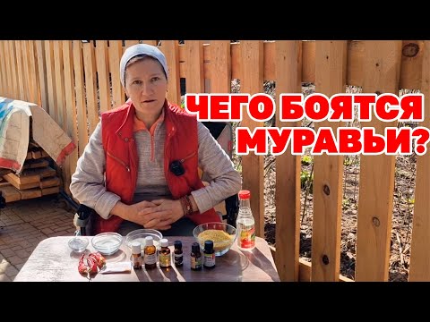 ВСЕ СРЕДСТВА от МУРАВЬЕВ ВРЕМЕННЫ и только  ОДИН СПОСОБ МОЖЕТ ИЗБАВИТЬ@obovsemsmarusya