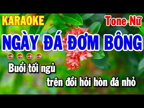 Karaoke Ngày Đá Đơm Bông Tone Nữ Nhạc Sống Cha Cha Hay Dễ Hát | Thanh Hải