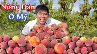 Utah Điểm Đến Cuối Trong Chuyến Hành Trình 50 Bang