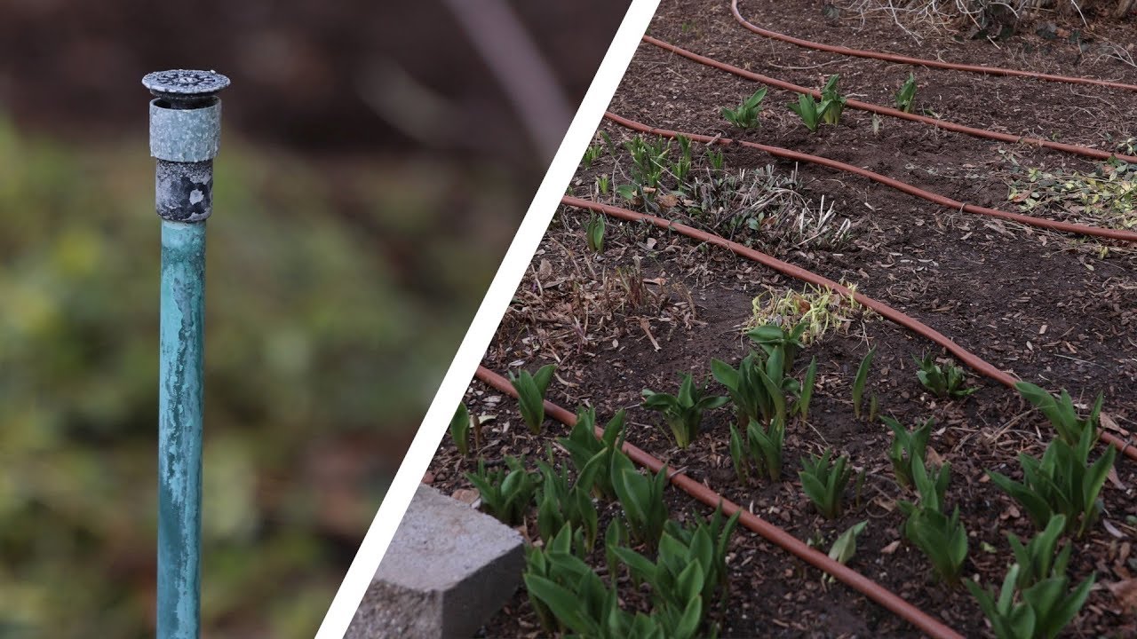 Converting Sprinklers to Drip in a Flower Bed!