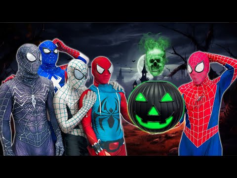 SPIDER-MAN Bros vs Mystery PUMPKIN || What If 5 SPIDER-MAN & JOKER in 1 HOUSE  ( Funny Scary Movie )