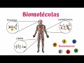 Lípidos y Carbohidratos en Biología
