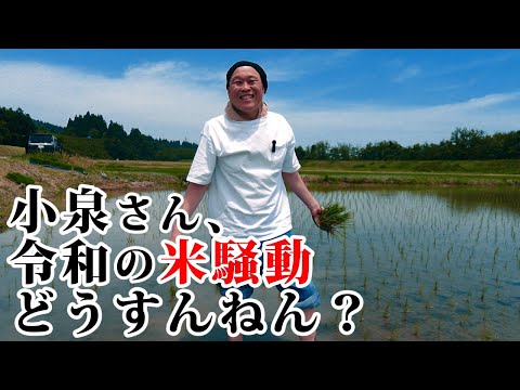 小泉さん、令和の米騒動どうすんねん？