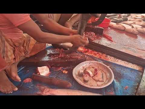 Fish Cutting in the Local Market | Dh Bangla Media