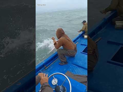 صيد ثعبان البحر ☺️ #fishing #fish #seafood