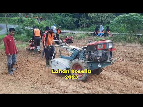 Optimalisasi lahan sekolah dan rekondisi tempat pr