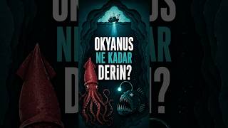 Okyanus Gerçekte Ne Kadar Derin?