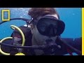 Coral Reefs and Climate Change Effects