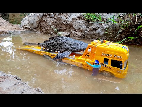 SIMULASI MOBIL TRUK TRONTON - IKAN RENANG - LOADER BEKO BEKERJA DI BAWAH AIR
