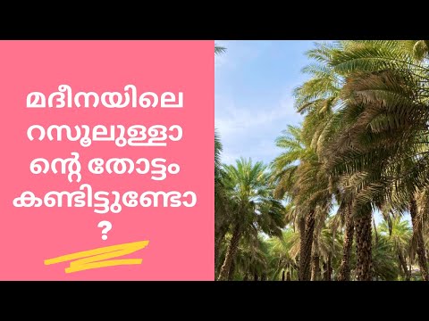 റസൂലുള്ളാന്റെ തോട്ടവും അബൂബക്കർ(റ)വിന്റെ ഭാര്യാവീടും...!