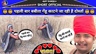 गांव की कटनी कैसे होती है देखिए / Ajay_Rangila_New_Vlog