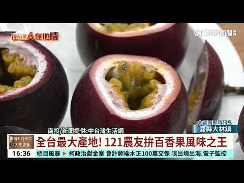 全台最大產地！　121農友拚百香果風味之王｜華視台語新聞 2024.08.14 - YouTube