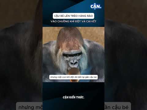 CẬU BÉ LÉN TRÈO HÀNG RÀO VÀO CHUỒNG KHỈ ĐỘT VÀ CÁI KẾT #xuhuong #shorts #viral #khampha #kienthuc
