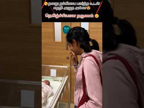 💥தனது தம்பியை பார்த்த உடன் கதறி அழுத அக்கா😭 நெகிழ்ச்சியான தருணம் 😭 #trending #love #shortvideo