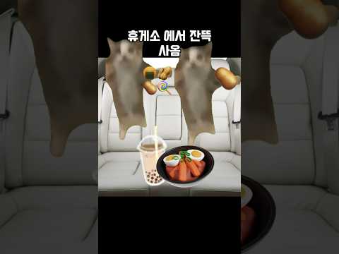 할머니 댁 갈때 #고양이 #해피캣 #할머니댁 #cat #웃긴