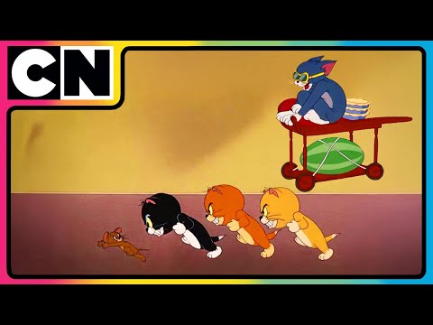 Tom and Jerry 😺🐭| Dual Purr Power! 💪| Compilation | 90s cartoons | Cartoon for kids | @cnindia