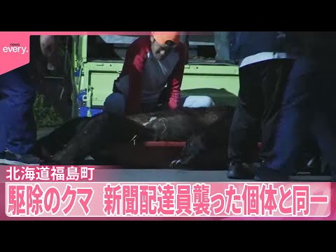 【DNA鑑定の結果】福島町で駆除のクマ、新聞配達員を襲った個体と同一