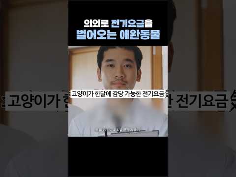 의외로 전기요금을 벌어오는 동물
